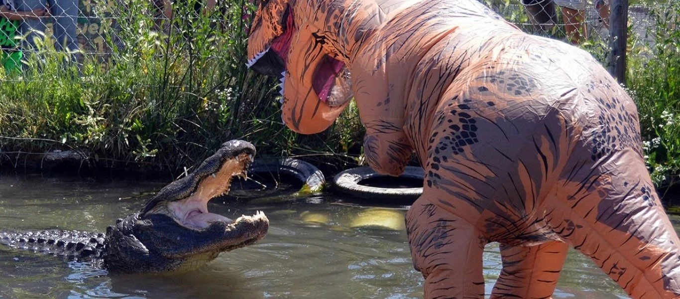 Βίντεο: Άνθρωπος ντύθηκε δεινόσαυρος και φόβισε κροκόδειλο μέσα σε ζωολογικό κήπο